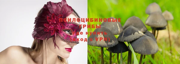 дурь Яровое