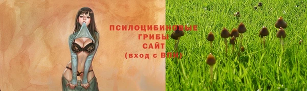 дурь Яровое