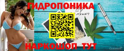 прущие крисы Волжский