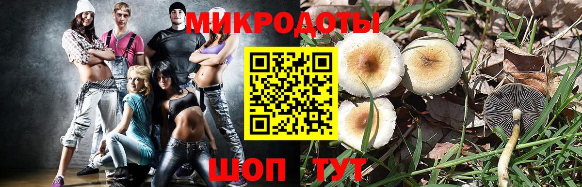 Галлюциногенные грибы мицелий Ногинск