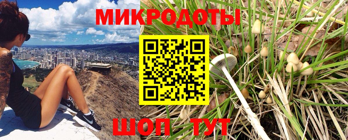 Псилоцибиновые грибы GOLDEN TEACHER Ногинск